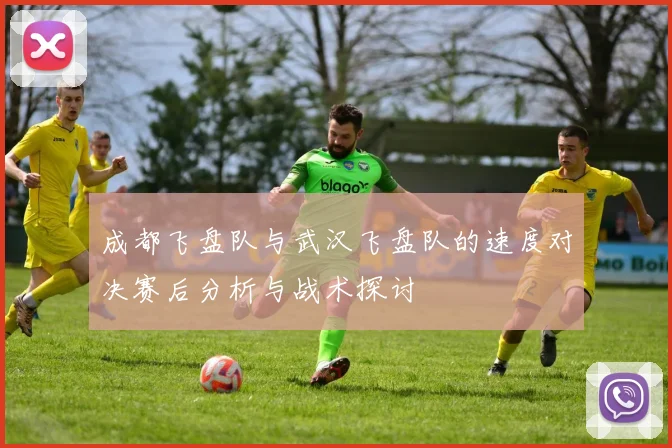 成都飞盘队与武汉飞盘队的速度对决赛后分析与战术探讨