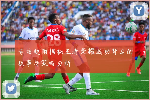 专访赵丽揭秘王者荣耀成功背后的故事与策略分析