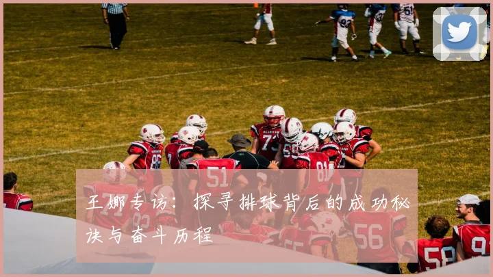 王娜专访：探寻排球背后的成功秘诀与奋斗历程